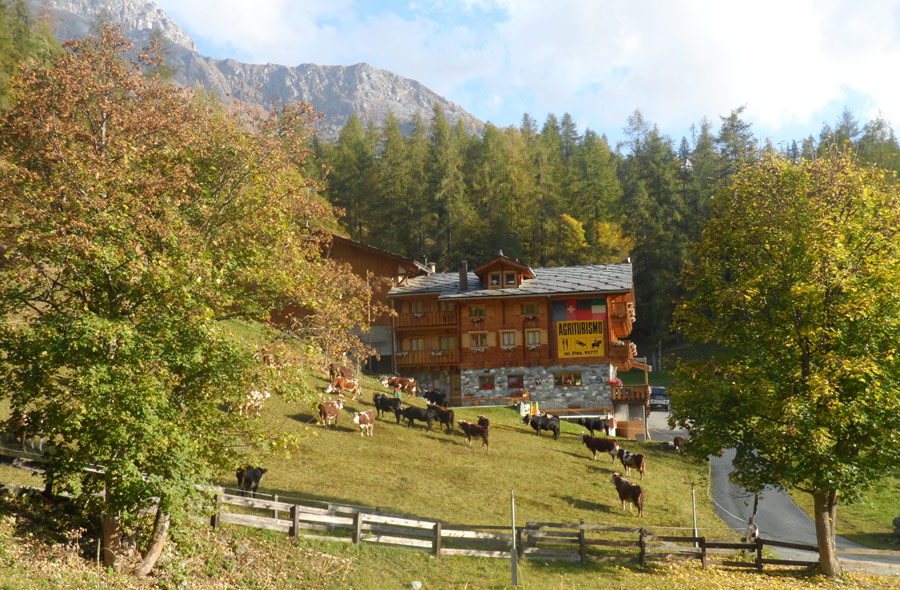 La Pera Doussa - Estate
